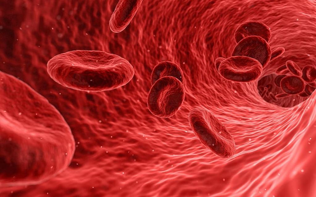 Guardian Blood Balance Australia Cost Us