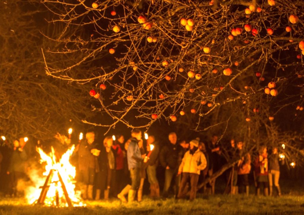 Family Wassail