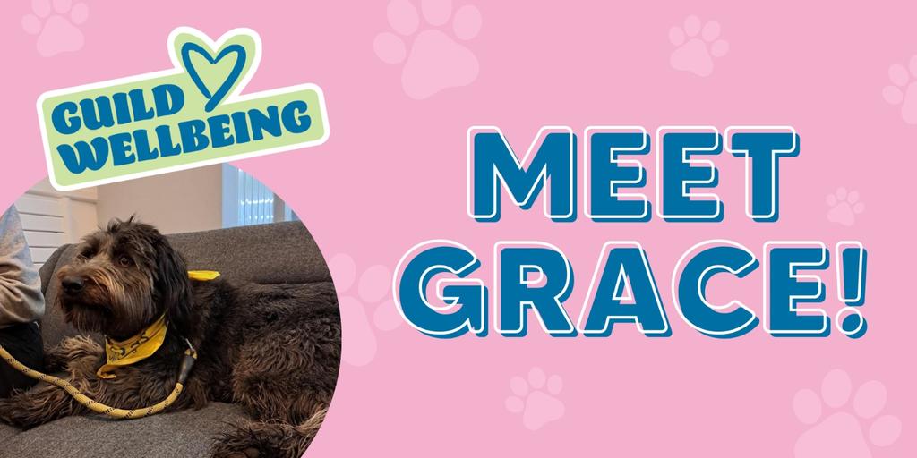 Meet Grace! - Pets as Therapy