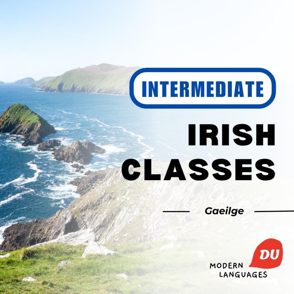 Meánleibhéal Gaeilge/Intermediate Irish (B1)
