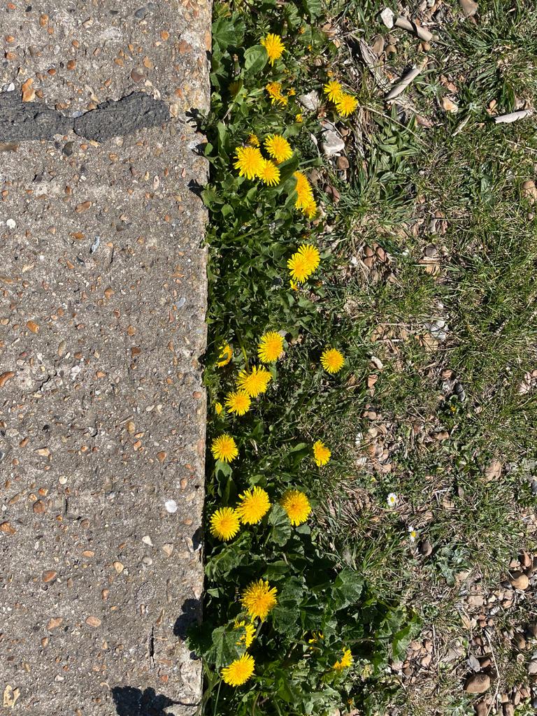Look Around
