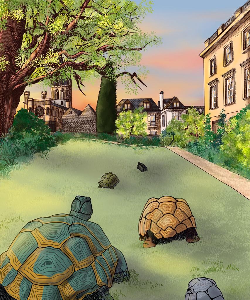 Corpus Tortoise Fair 2025