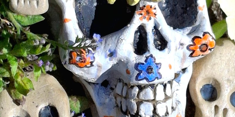 Ceramic Skulls Workshop