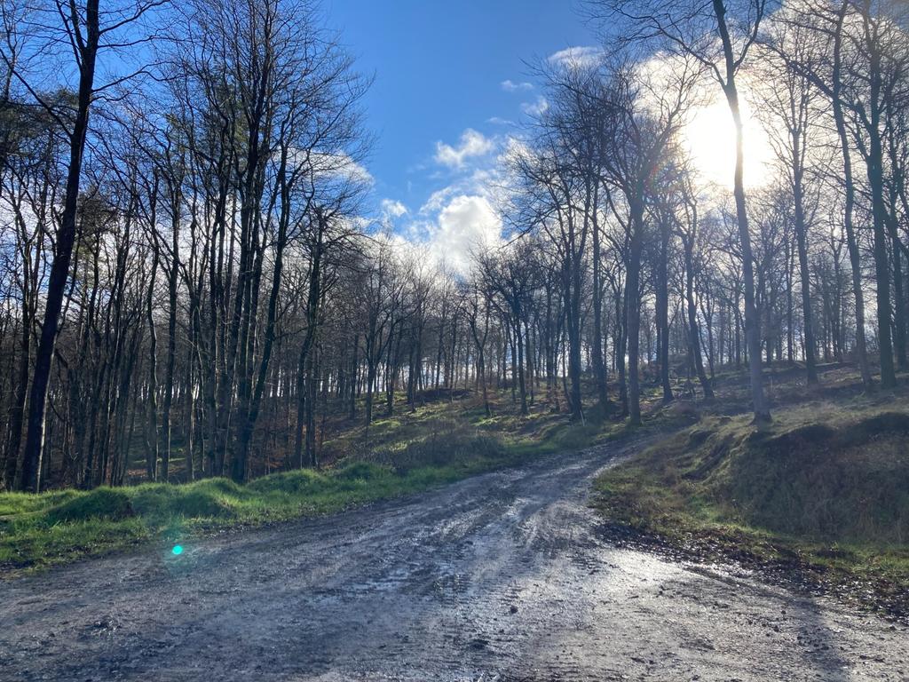 Okeford Hill Bike Park Entry and Uplift