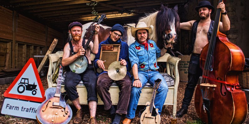 The Swamp Stomp String Band LIVE