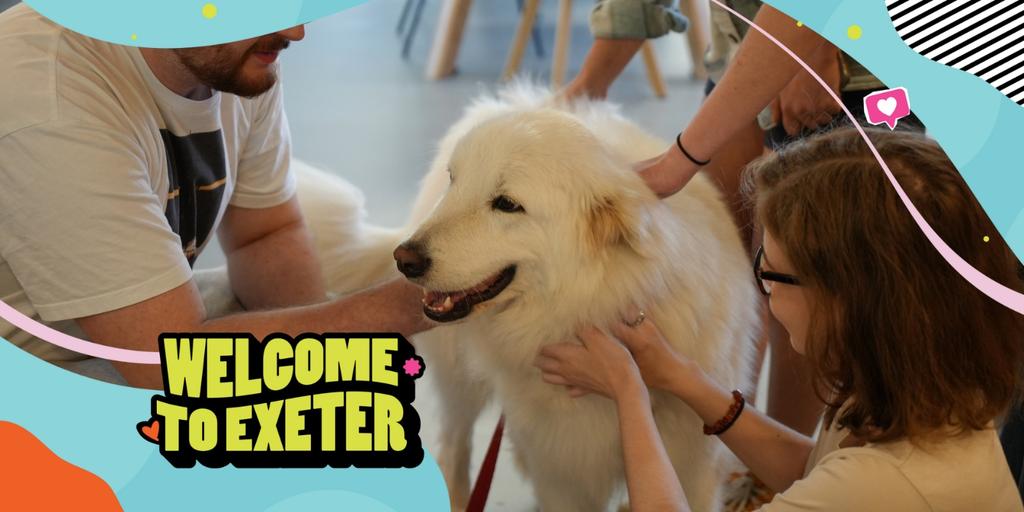 Pets as Therapy