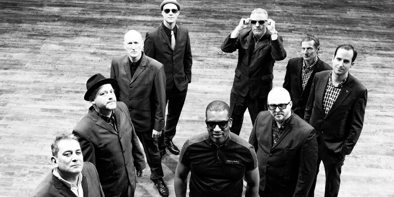 THE SPECIALS LTD