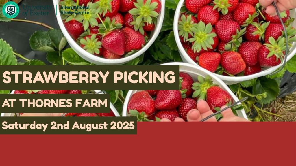 Strawberry Picking Trip