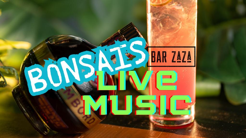 Bonsais at Bar ZaZa