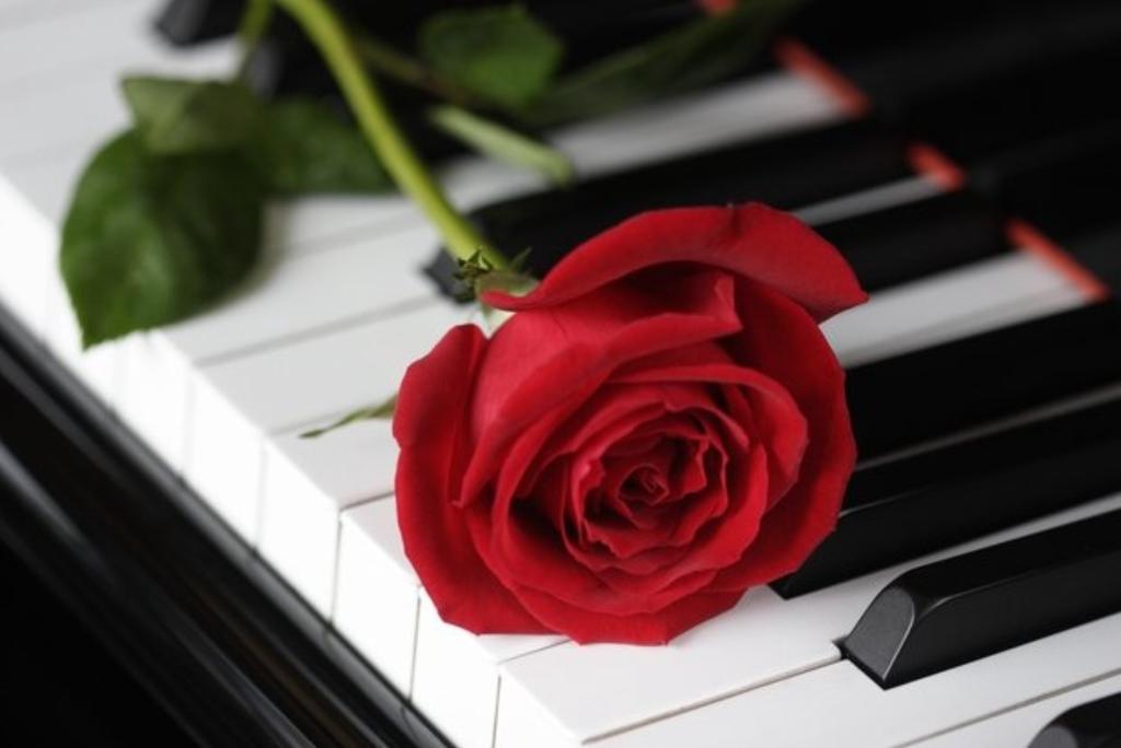Valentines Chopin & Champagne by Candlelight