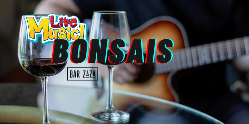 Bonsais at Bar ZaZa