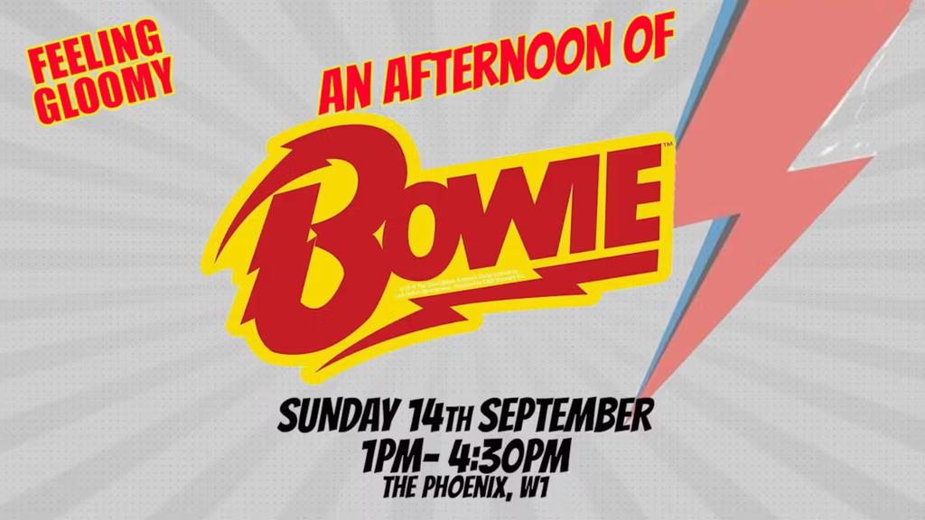 An Afternoon of David Bowie - Sun 14th September, 1pm-4:30pm *3/4 sold*