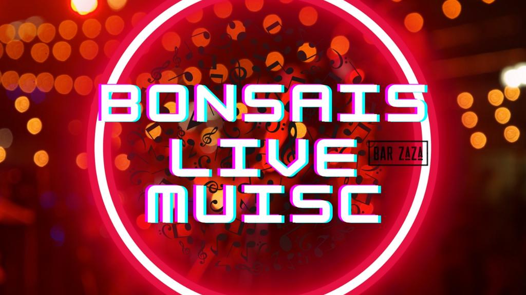 Bonsais at Bar ZaZa
