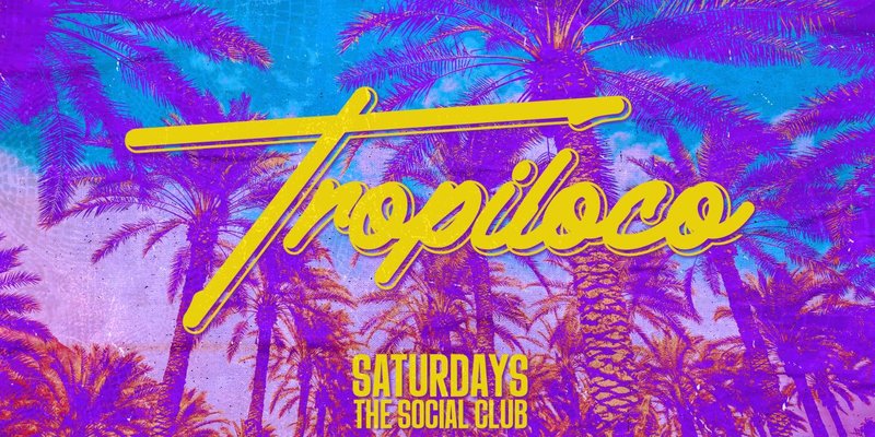 🪩🌴 TROPILOCO SATURDAYS @ THE SOCIAL CLUB 🌴🪩