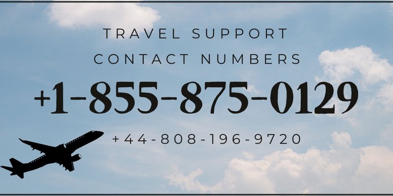 United Airlines ®️ USA Contact Numbers: The Ultimate Detailed