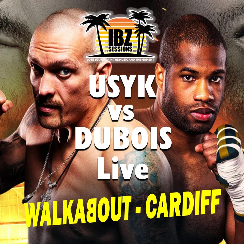 USYK VS DUBOIS