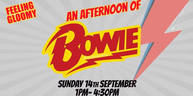 An Afternoon of David Bowie - Sun 14th September, 1pm-4:30pm *3/4 sold*