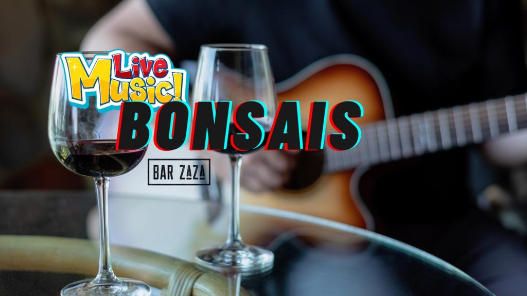 Bonsais at Bar ZaZa