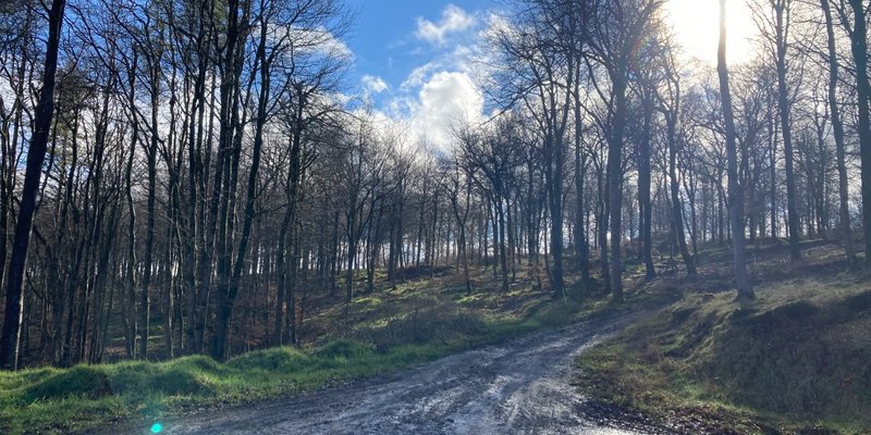 Okeford Hill Bike Park Entry and Uplift
