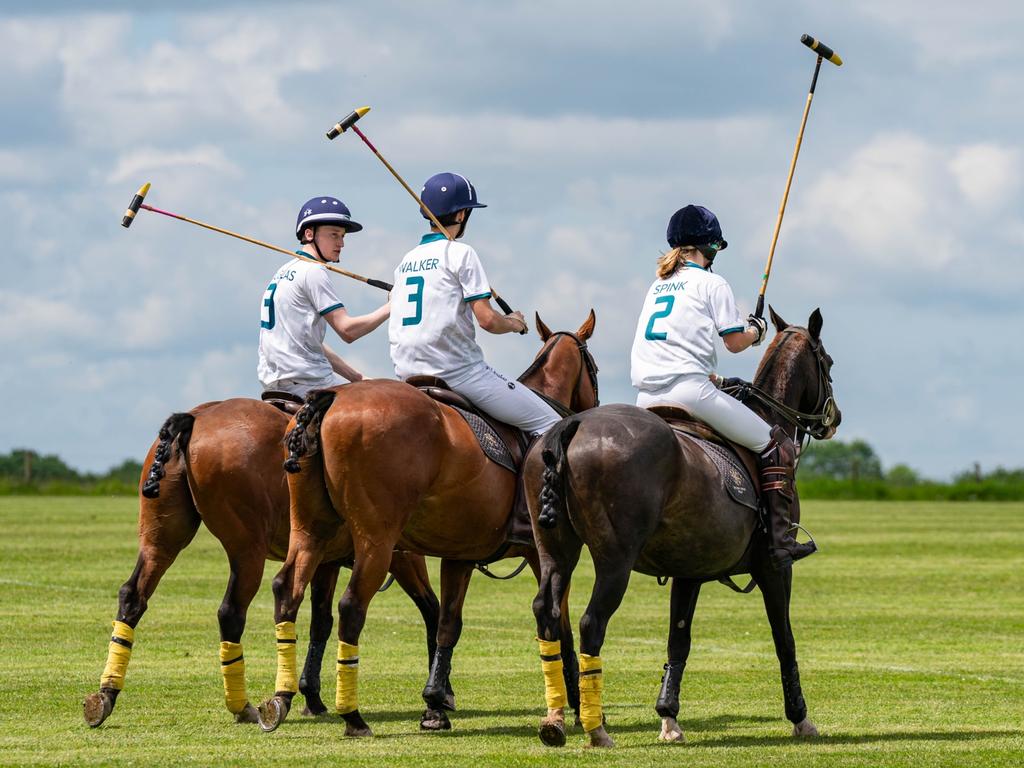 Polo Memberships 2025/2026