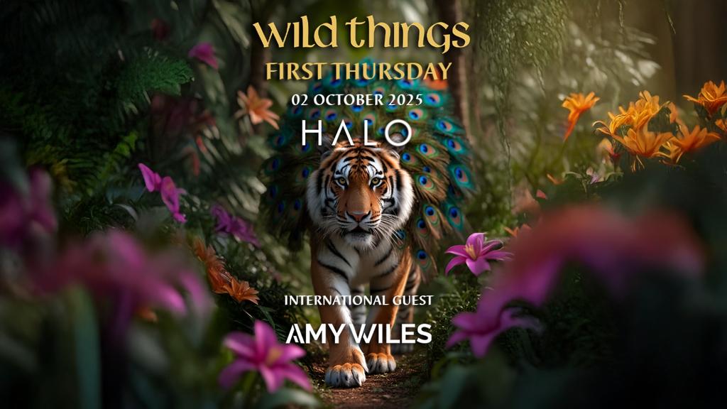 WILD THINGS - FIRST THURS 02 OCT | AMY WILES (ANJUNA / UK) + DEAN FUEL & more