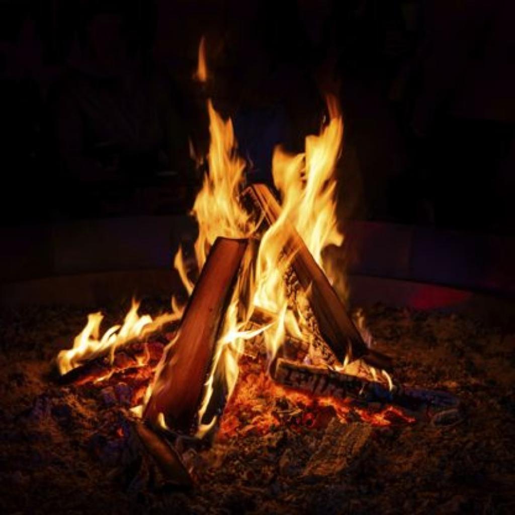 November Seasonal Circle