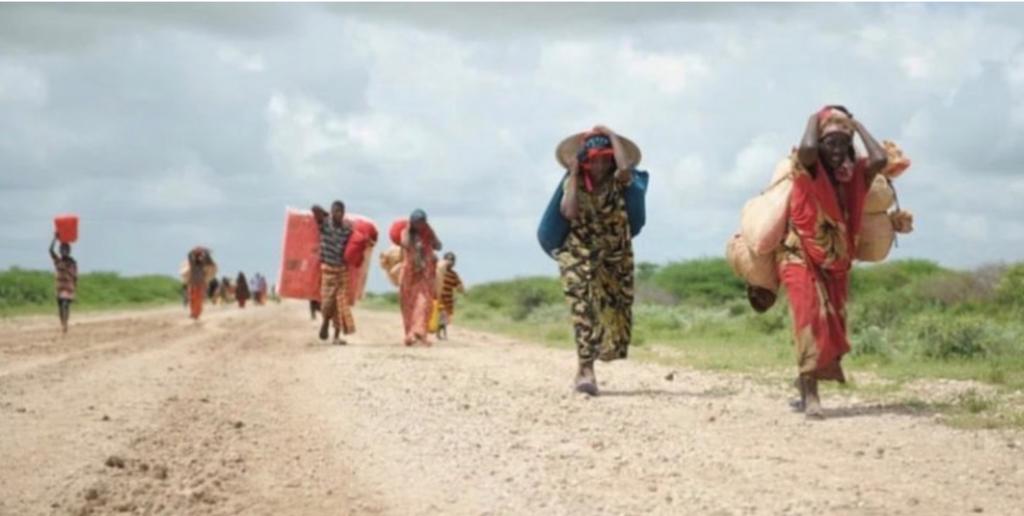 Walk the Blockade