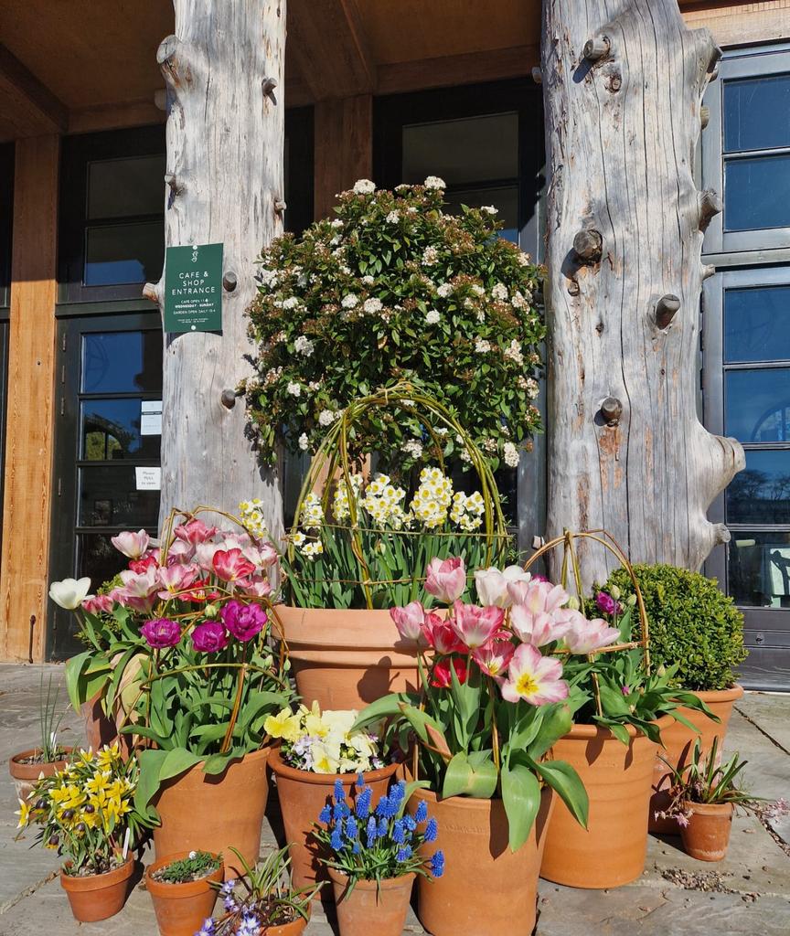 Spring Pot Workshop: Making The Most Of Your Bulbs