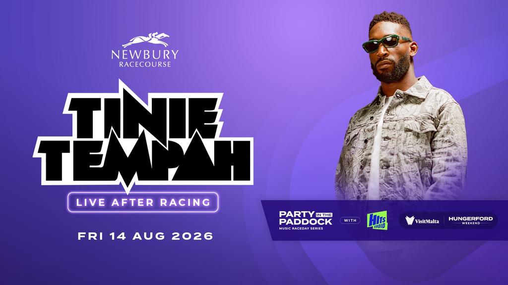 Newbury Racecourse - Tinie Tempah