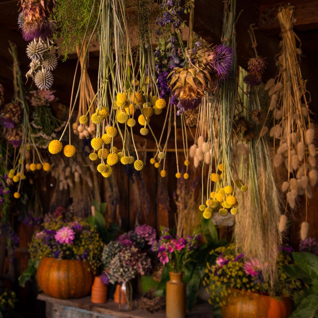 Dried Flower Bouquet & Hanging Decoration Workshop
