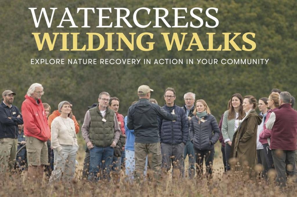 Watercress Wilding Walks