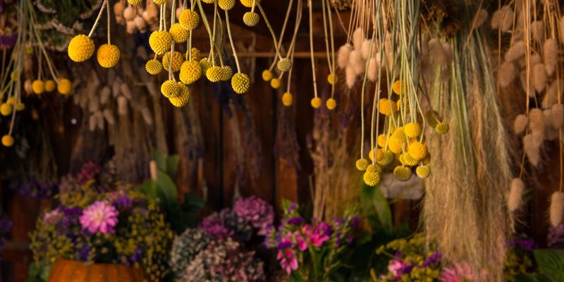 Dried Flower Bouquet & Hanging Decoration Workshop
