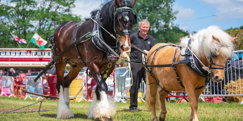Bridgend Country Show - Sunday 12th July