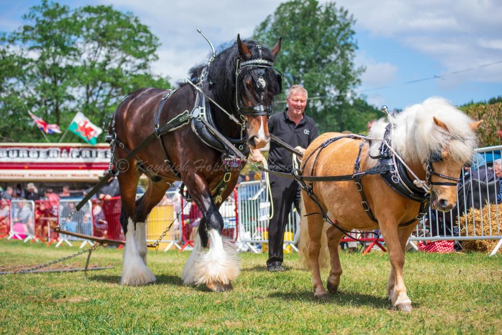 Bridgend Country Show - Sunday 12th July