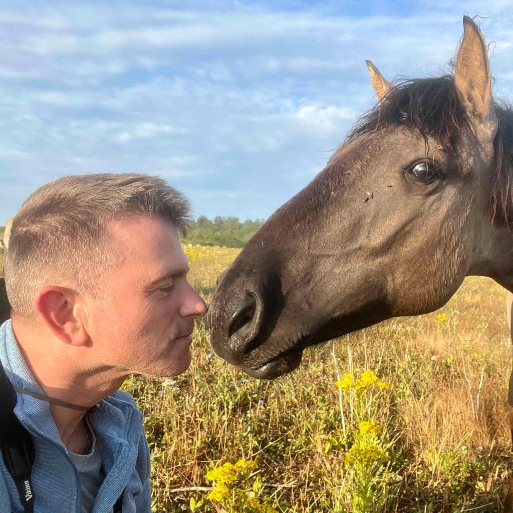 The Wild Dream: 100 years of Norfolk Wildlife Trust