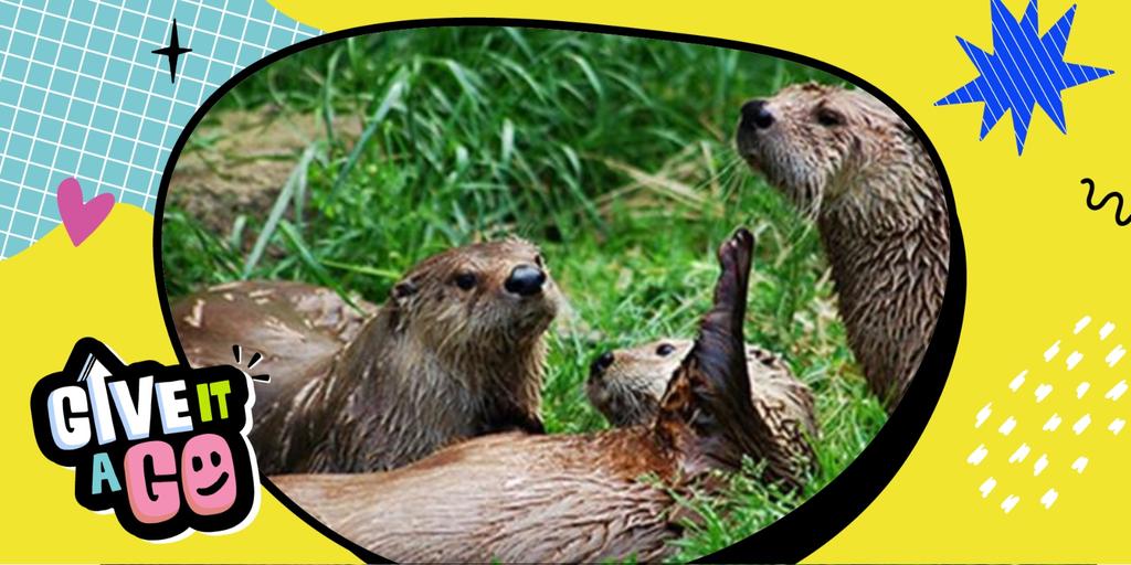 Give It A Go: Otter Sanctuary Visit!