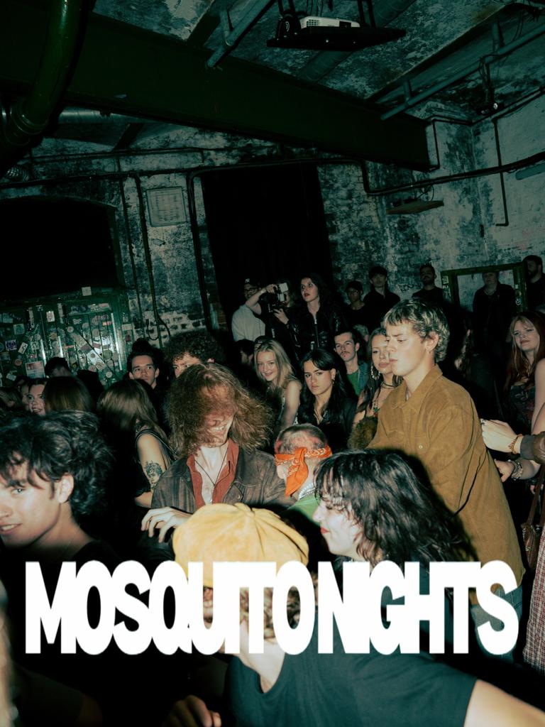 Mosquito Nights