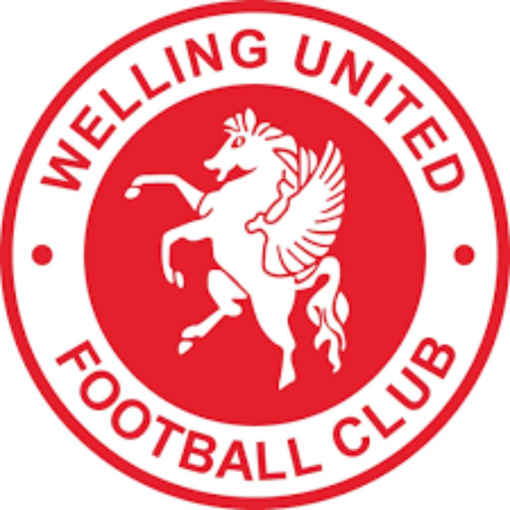 Non-League Day: Wingate & Finchley FC vs Welling United FC