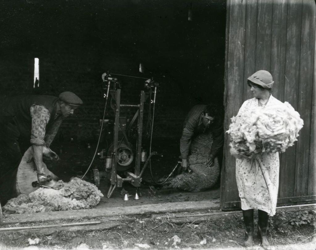 SFHG - Bygone Sussex