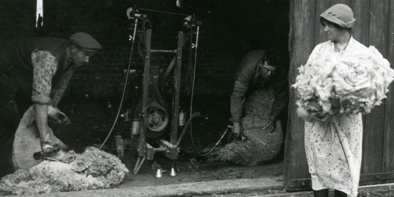 SFHG - Bygone Sussex