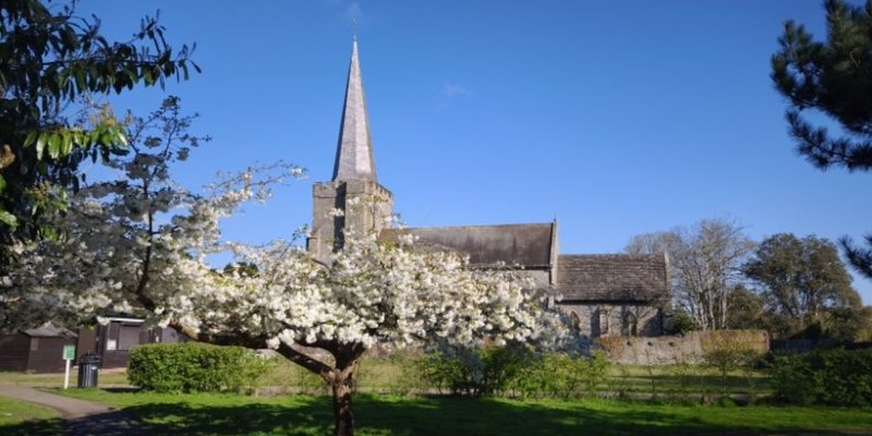 Friends of Tarring Park - Litter Pick