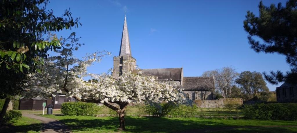 Friends of Tarring Park - Litter Pick