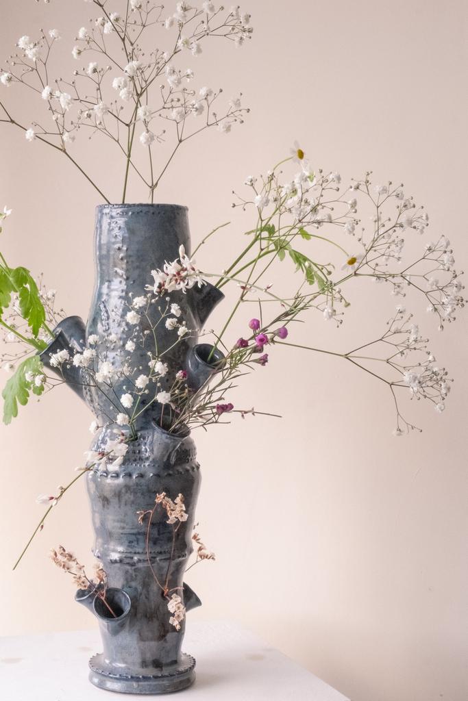 Ashley Sheekey - Arrangements