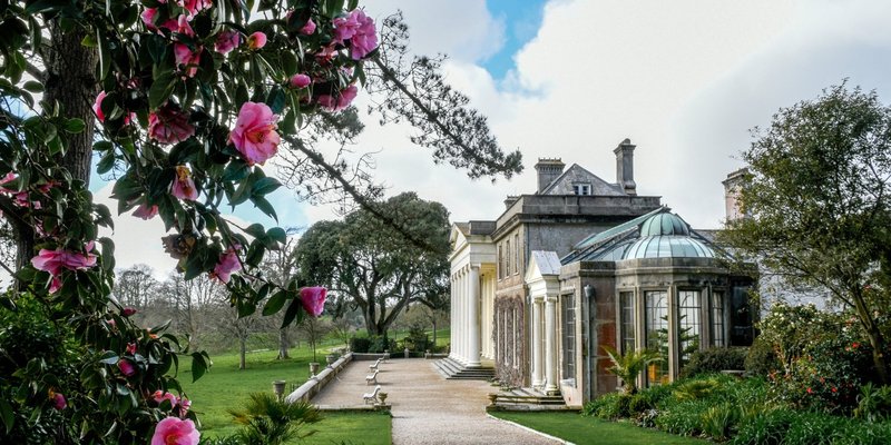 Trip to Trelissick (from Penryn): 17 June