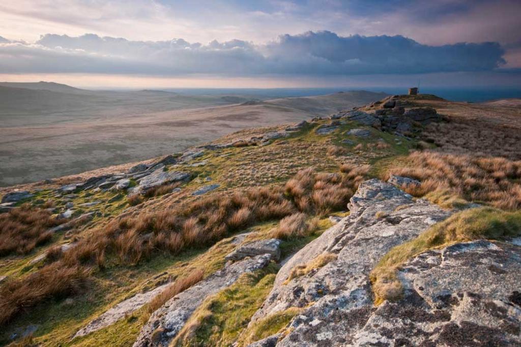 A Glimpse of Dartmoor: Saturday 6 June
