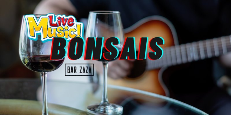 Bonsais at Bar ZaZa
