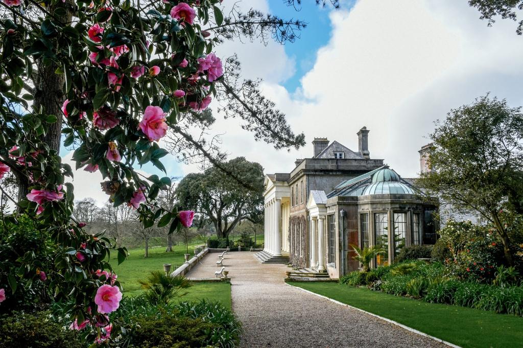 Trip to Trelissick (from Penryn): 17 June