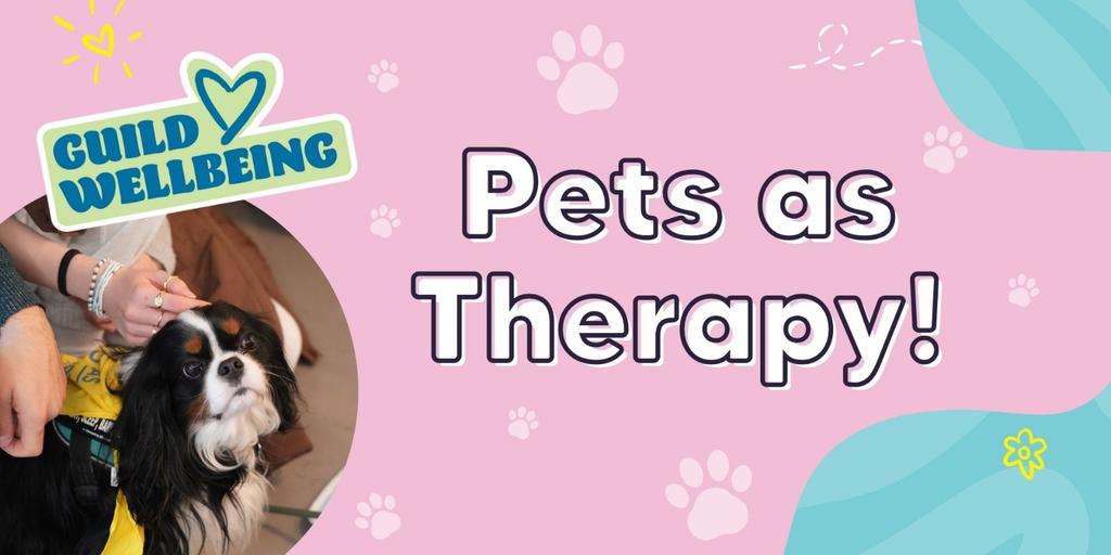 Pets as Therapy!