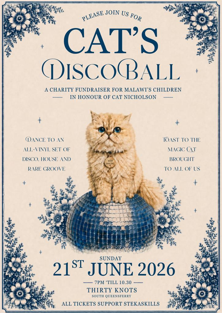 Cat's Disco Ball
