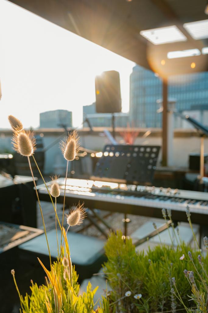 Jazz at Jacobs // Live music with the Jack Mac Quartet